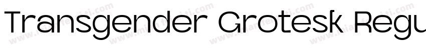 Transgender Grotesk Regular字体转换
